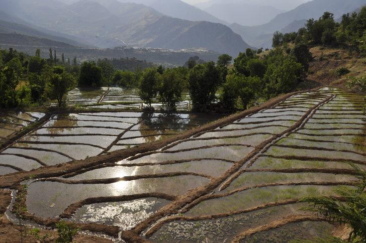 Çukurca, 4. kez "Foto Safari ve Doğa Sporları Festivali"ne ev sahipliği yapacak G5
