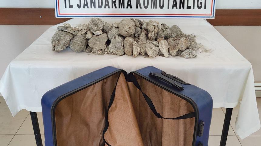 Hatay'da 16 kilogram "balina kusmuğu" ele geçirildi