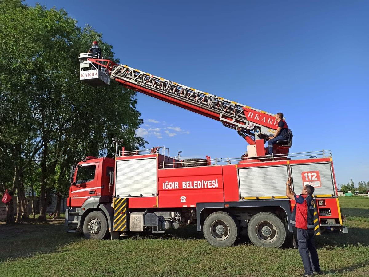 Iğdır'da ağa&ccedil; dallarına sıkışan kargayı itfaiye ekipleri kurtardı