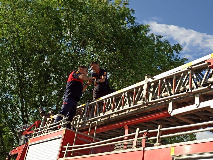 Iğdır'da ağaç dallarına sıkışan kargayı itfaiye ekipleri kurtardı G2