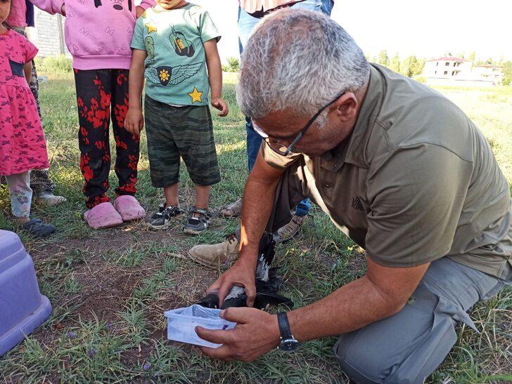 Iğdır'da ağaç dallarına sıkışan kargayı itfaiye ekipleri kurtardı G4