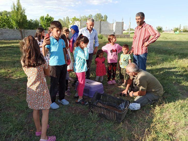 Iğdır'da ağaç dallarına sıkışan kargayı itfaiye ekipleri kurtardı G5