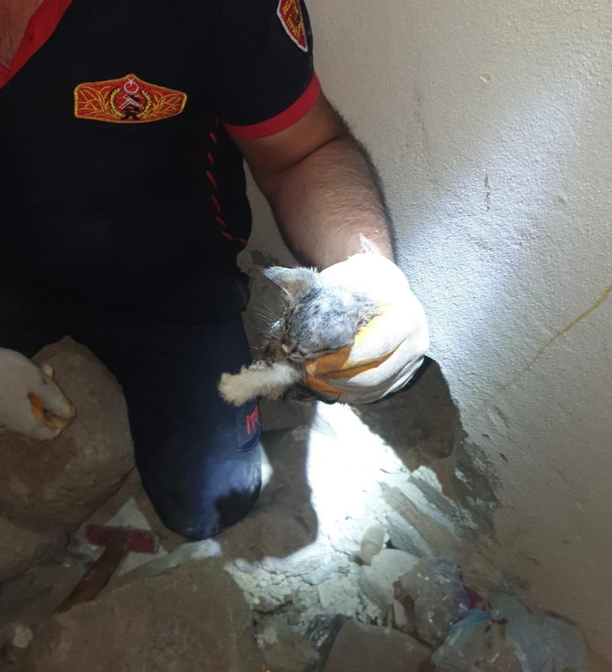 Kilis'te su borusuna sıkışan 4 kedi yavrusunu itfaiye kurtardı