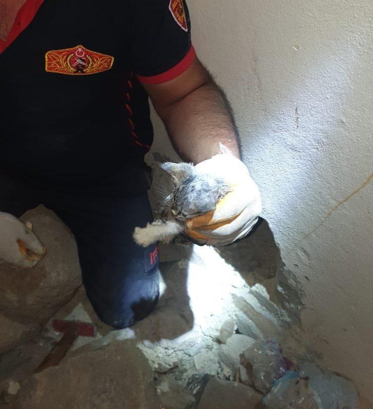 Kilis'te su borusuna sıkışan 4 kedi yavrusunu itfaiye kurtardı G1