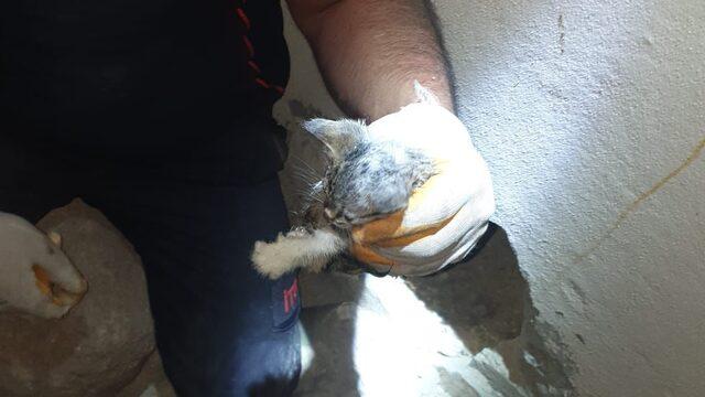 Kilis'te su borusuna sıkışan 4 kedi yavrusunu itfaiye kurtardı