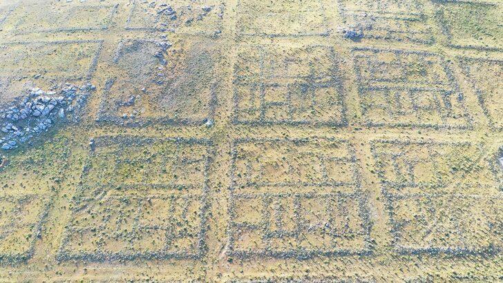 Van'da ızgara planlı antik kentin bulunduğu alana yürüyüş düzenlendi G1