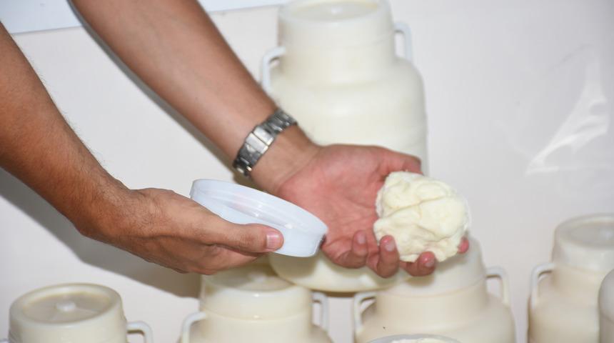 Tarsus'ta sağlıksız ortamda üretilen 830 kilogram peynir imha edildi