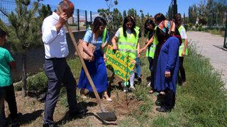 Sivas'ta lise öğrencileri yaptıkları oyuncakların geliriyle meyve fidanı dikti
