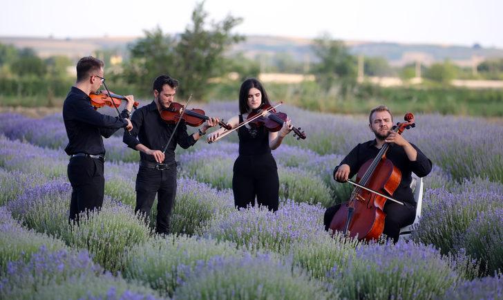 Edirne'nin "mor turizmi" Lavanta Tarla Günleri sembolik hasatla başladı G5