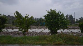 Afyonkarahisar'da sağanak etkili oldu