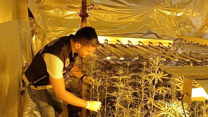 Tekirdağ'da bir apartman dairesinde Hint keneviri yetiştiren 2 şüpheli yakalandı G5