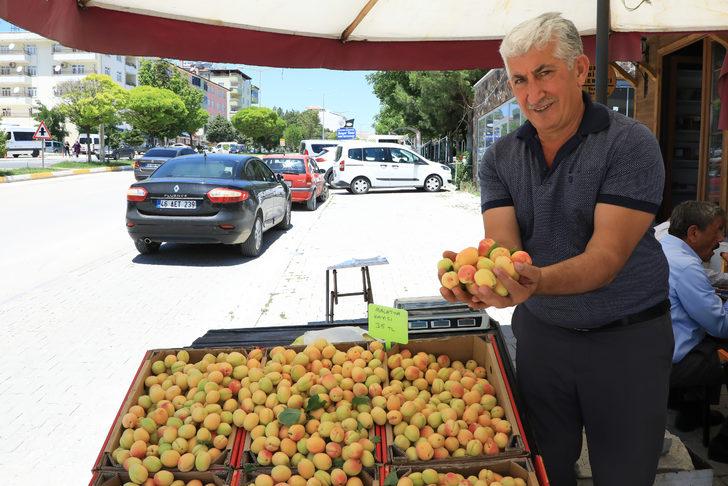 Malatya kayısısı tezgahlarda G2