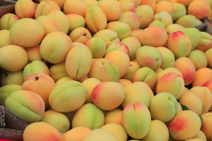 Malatya kayısısı tezgahlarda G4