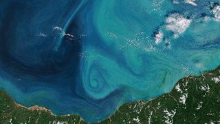 Karadeniz'de endişelendiren görüntü! Uzaydan bile görülüyor