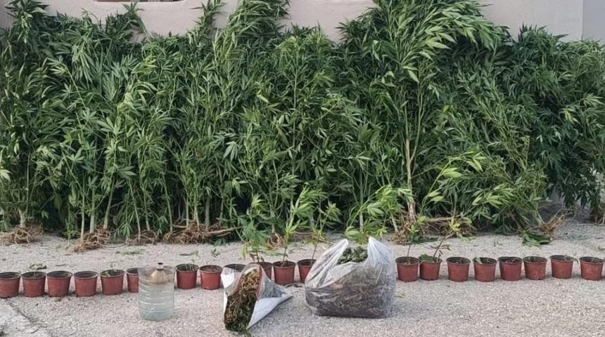Adana'da uyuşturucu ve sahte i&ccedil;ki operasyonunda 4 zanlı yakalandı