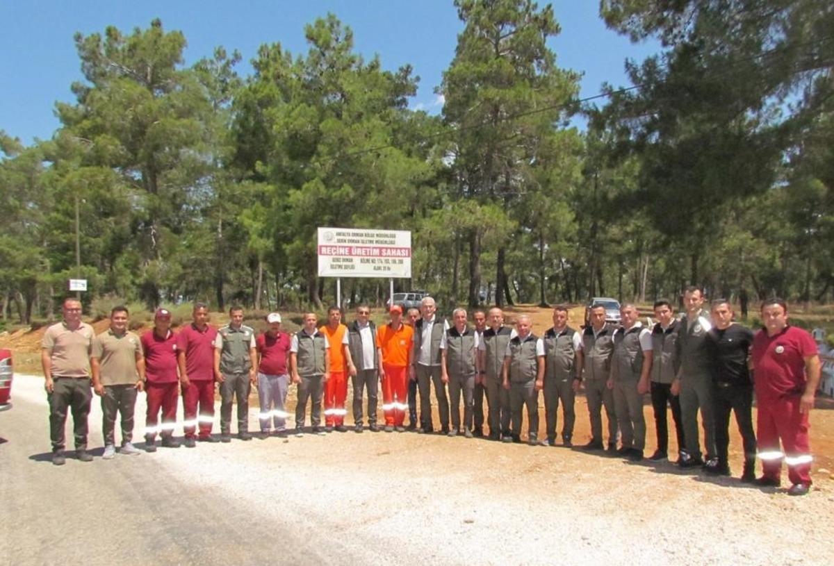 Tarım ve Orman Bakan Yardımcısı Tiryaki, end&uuml;striyel plantasyon sahasını gezdi