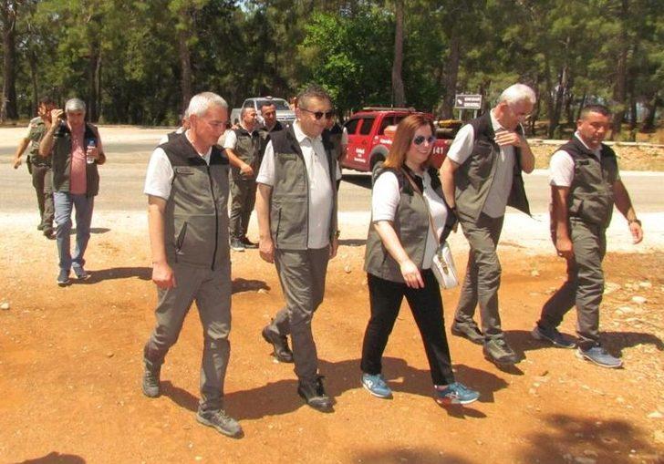 Tarım ve Orman Bakan Yardımcısı Tiryaki, endüstriyel plantasyon sahasını gezdi G5