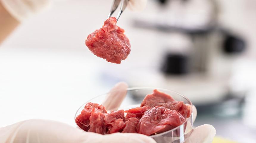 Yapay et için düzenleme yapıldı! Ne zaman satışa çıkacak? Veganlar tüketebilir mi?