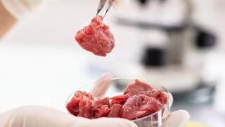 Yapay et için düzenleme yapıldı! Ne zaman satışa çıkacak? Veganlar tüketebilir mi?