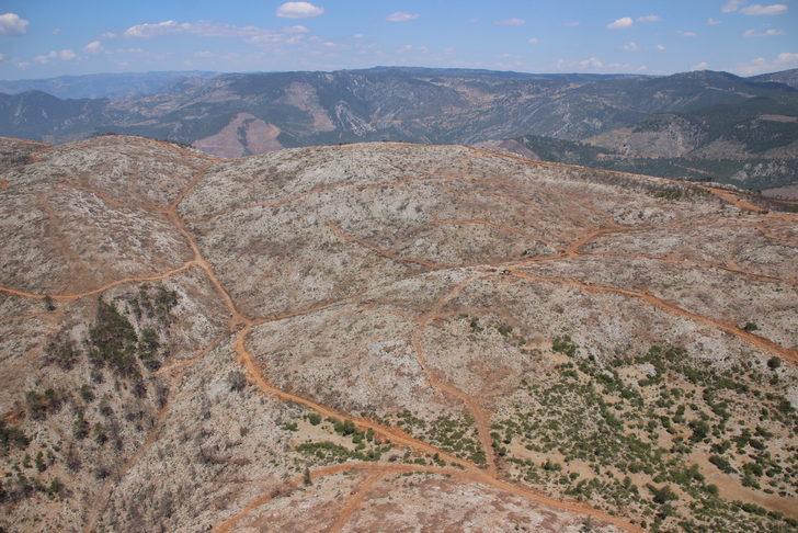 Mersin'de geçen yılki yangınlardan etkilenen ormanlar havadan görüntülendi G2