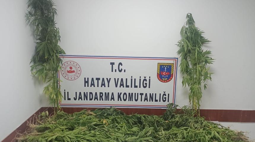 Hatay'da uyuşturucu operasyonunda yakalanan 11 zanlı tutuklandı