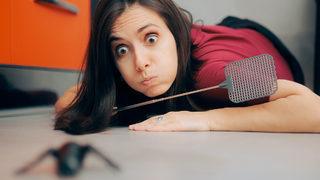 Her evde bulunuyor: Bu doğal yöntem ile etrafınızdaki böceklere elveda