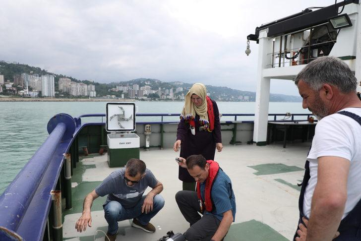 Recep Tayyip Erdoğan Üniversitesi Su Ürünleri Fakültesi, Karadeniz'in renginin turkuaza dönüşmesinin nedenlerini araştırdı