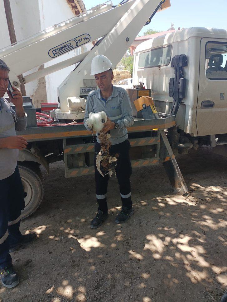 Iğdır'da ayağına ip dolanan leylek yavrusu kurtarıldı G2