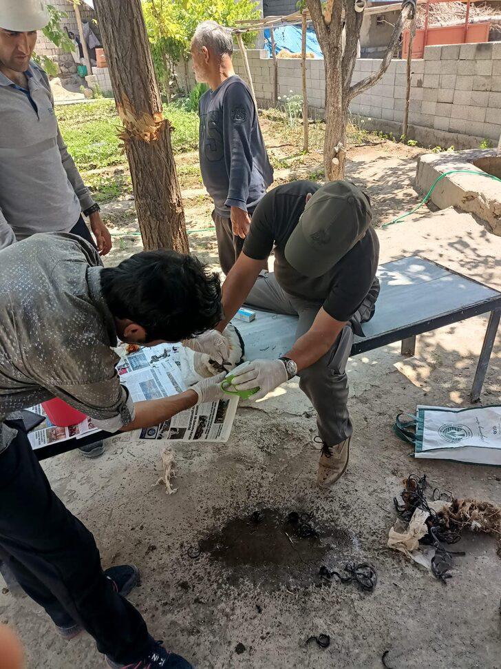 Iğdır'da ayağına ip dolanan leylek yavrusu kurtarıldı G4