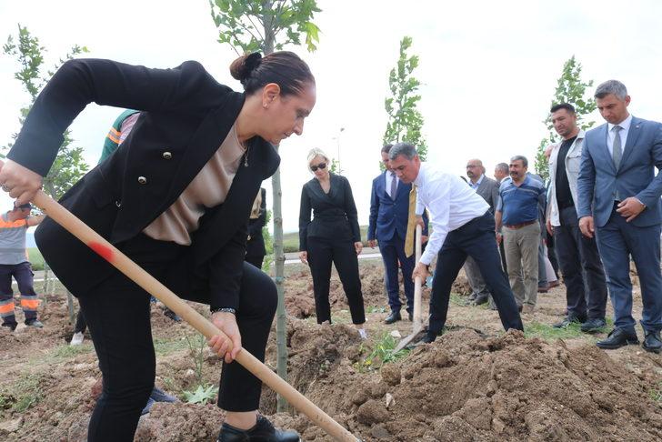 Ankara'da "Ömürlük Yaşayan Çınarlar Hatıra Ormanı" oluşturuldu G4