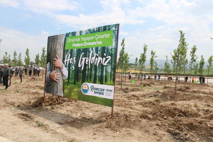 Ankara'da "Ömürlük Yaşayan Çınarlar Hatıra Ormanı" oluşturuldu G5