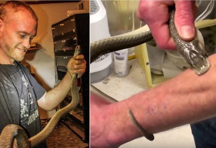 İki kez öldü yine durmadı: Nedeni şaşırtıyor! Kendini yılanlara yem ediyor
