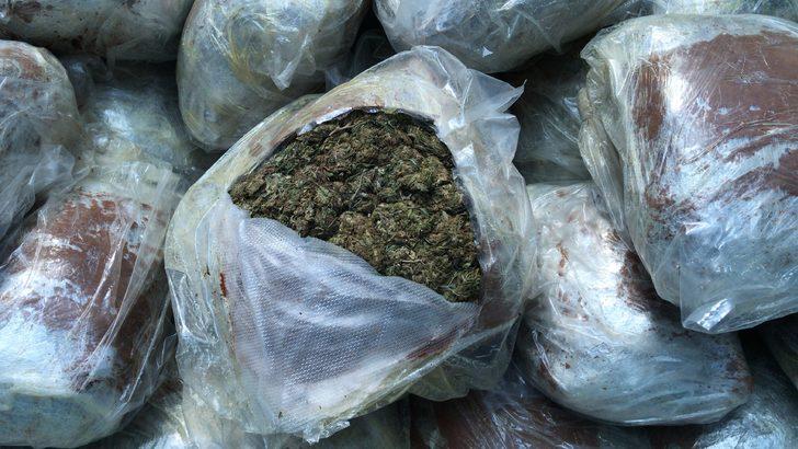 Adana'da 72 kilogram esrar ele geçirilen tırın sürücüsü tutuklandı G2