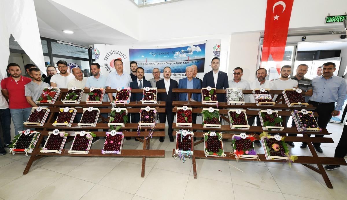 Lapseki Belediyesi 37. Geleneksel Kiraz Festivali'nde &uuml;reticiler yarıştı