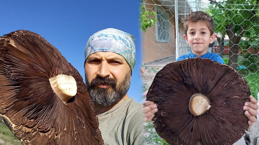 Yer: Erzurum! Tam 6 kilo, görenler şaşkına döndü