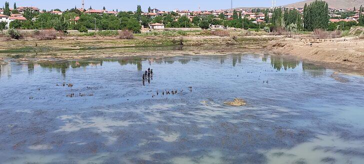Kayseri'de Kızılırmak'ta kaybolan kişiyi arama çalışmaları sürüyor G3