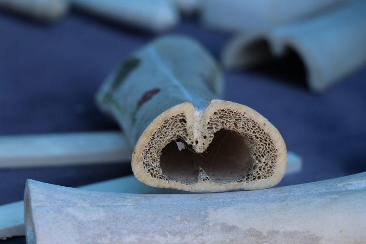 Deve kemiğini sanat eserine dönüştüren ustanın eserleri dikkati çekiyor G1