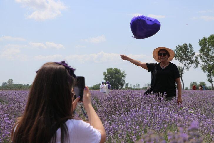 Edirne'deki lavanta tarlaları komşu illerden ziyaretçileri ağırlıyor G2