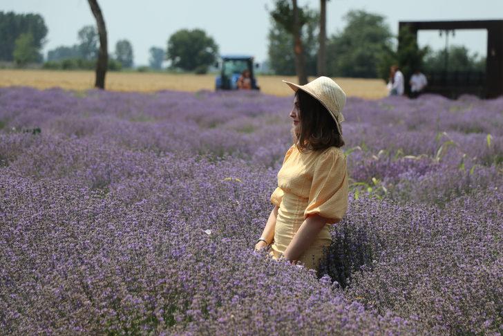 Edirne'deki lavanta tarlaları komşu illerden ziyaretçileri ağırlıyor G3