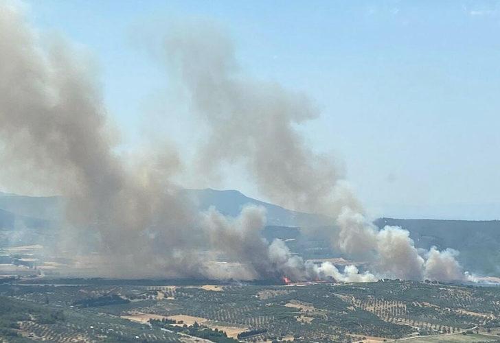 Son dakika: İzmir Foça'da orman yangını! Havadan ve karadan müdahale ediliyor