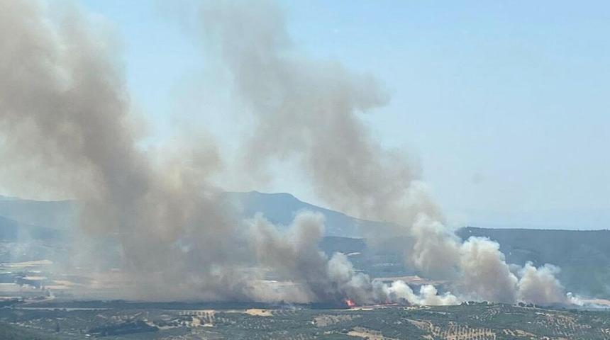 Son dakika: İzmir Foça'da orman yangını! Havadan ve karadan müdahale ediliyor