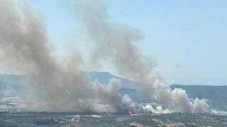 Son dakika: İzmir Foça'da orman yangını! Havadan ve karadan müdahale ediliyor