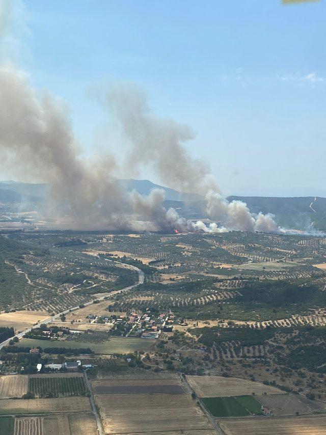 İzmir'de makilik alanda yangın çıktı 