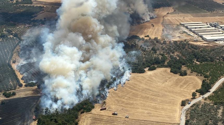 İzmir'de makilik alanda yangın çıktı