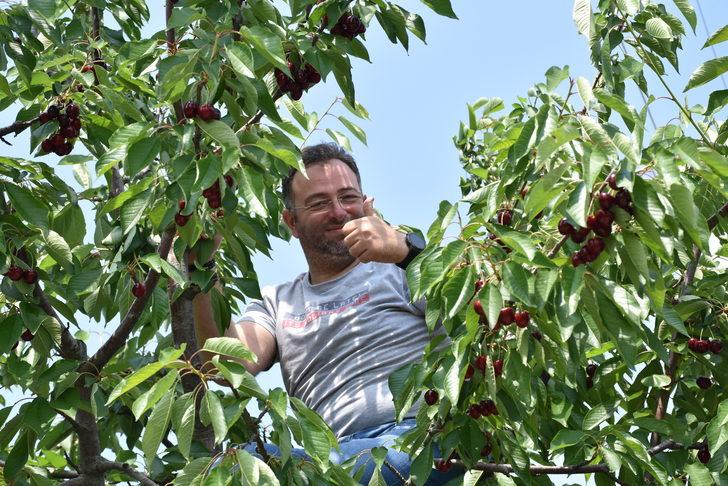 İstanbul'dan ekoturizm için geldikleri Bilecik'te dalından kiraz topladılar G3