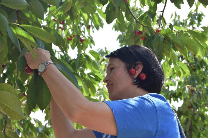 İstanbul'dan ekoturizm için geldikleri Bilecik'te dalından kiraz topladılar G5