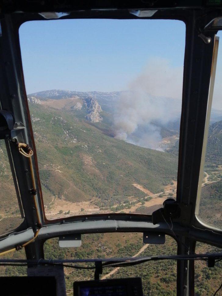 İzmir'de ormanlık alanda yangın çıktı G2