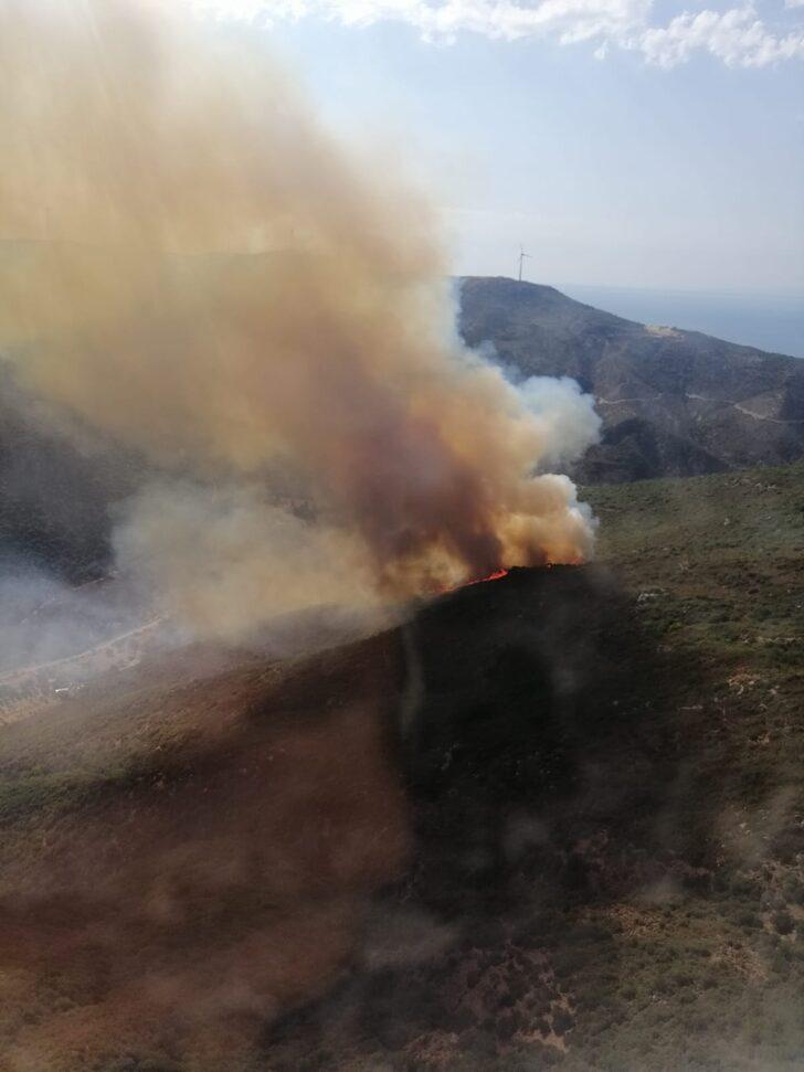 İzmir'de ormanlık alanda yangın çıktı G3