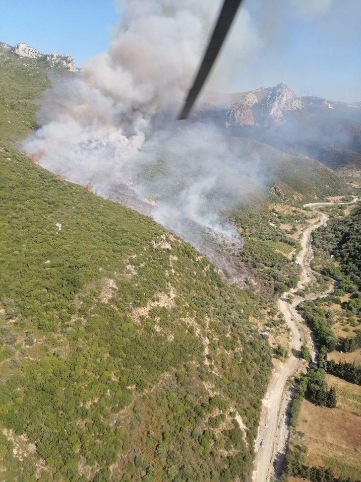 İzmir'de ormanlık alanda yangın çıktı G4