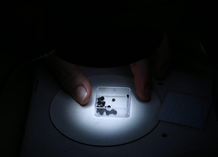 Adana'daki kazılarda "3 bin yıllık" tohum bulundu G1